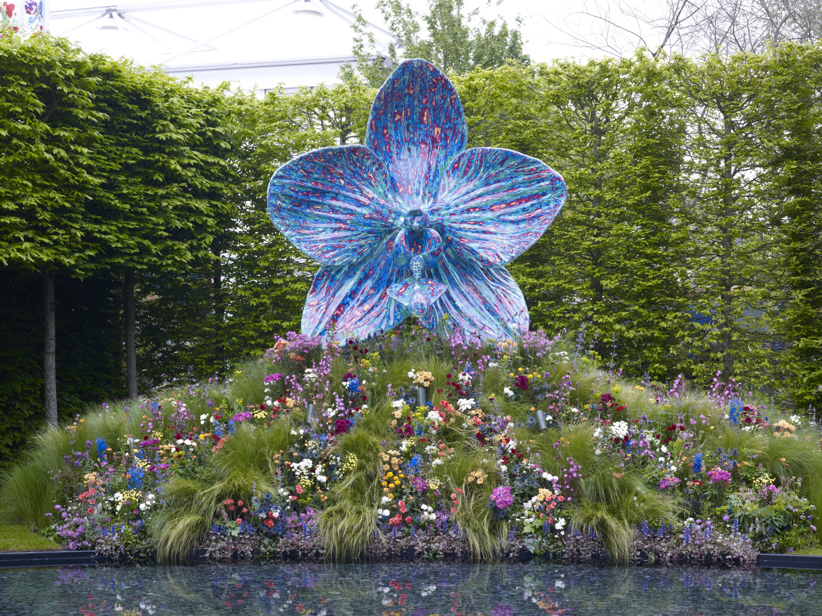 Chelsea Flower Show 2013 image Chelsea Flower Show 2013 picture
