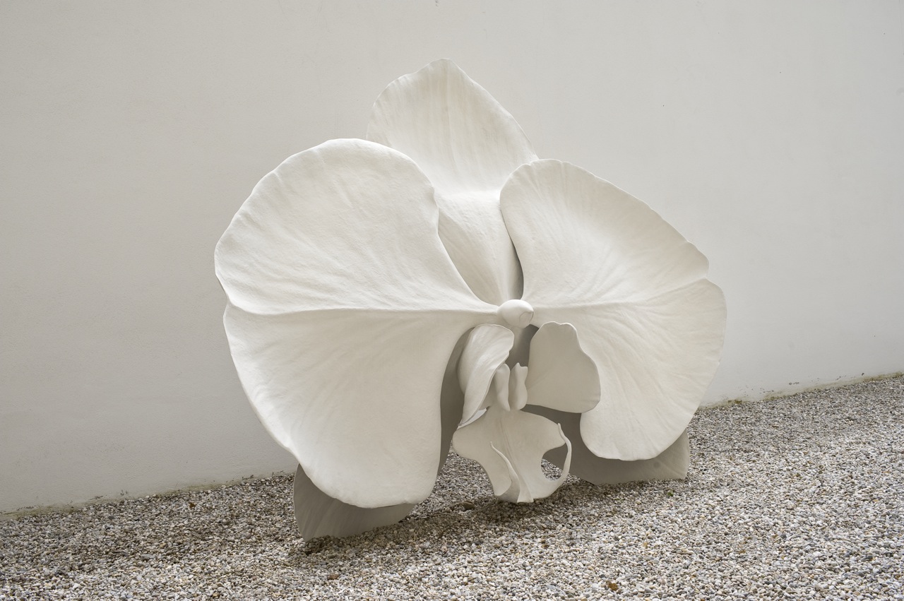 Materialise Dematerialise